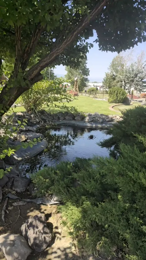 Ornamental pond on the mini golf course